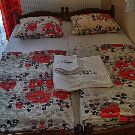 Bed and Breakfast U Borzana 3*