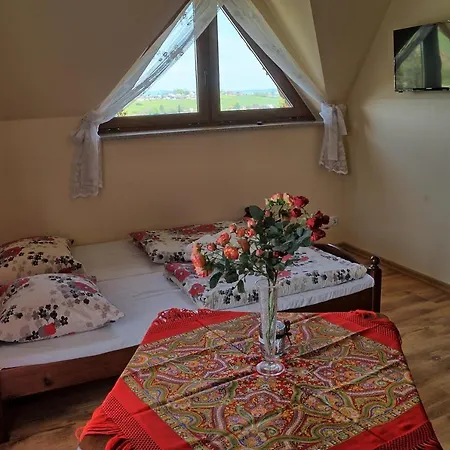 U Borzana 3* ビャウィ・ドゥナイェツ