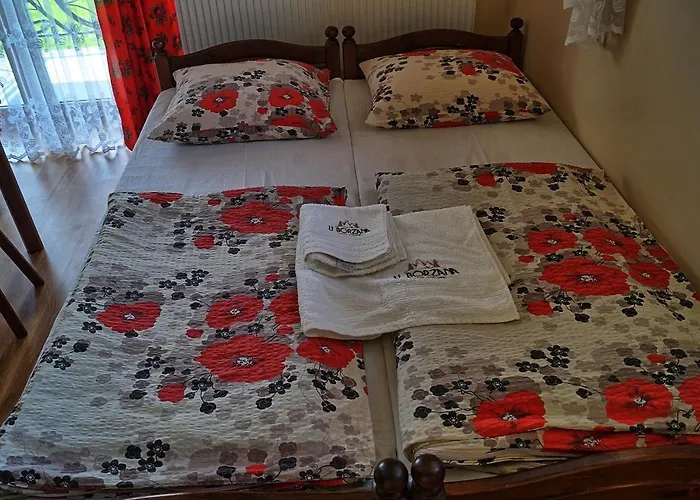 فندق مبيت وإفطار U Borzana 3*